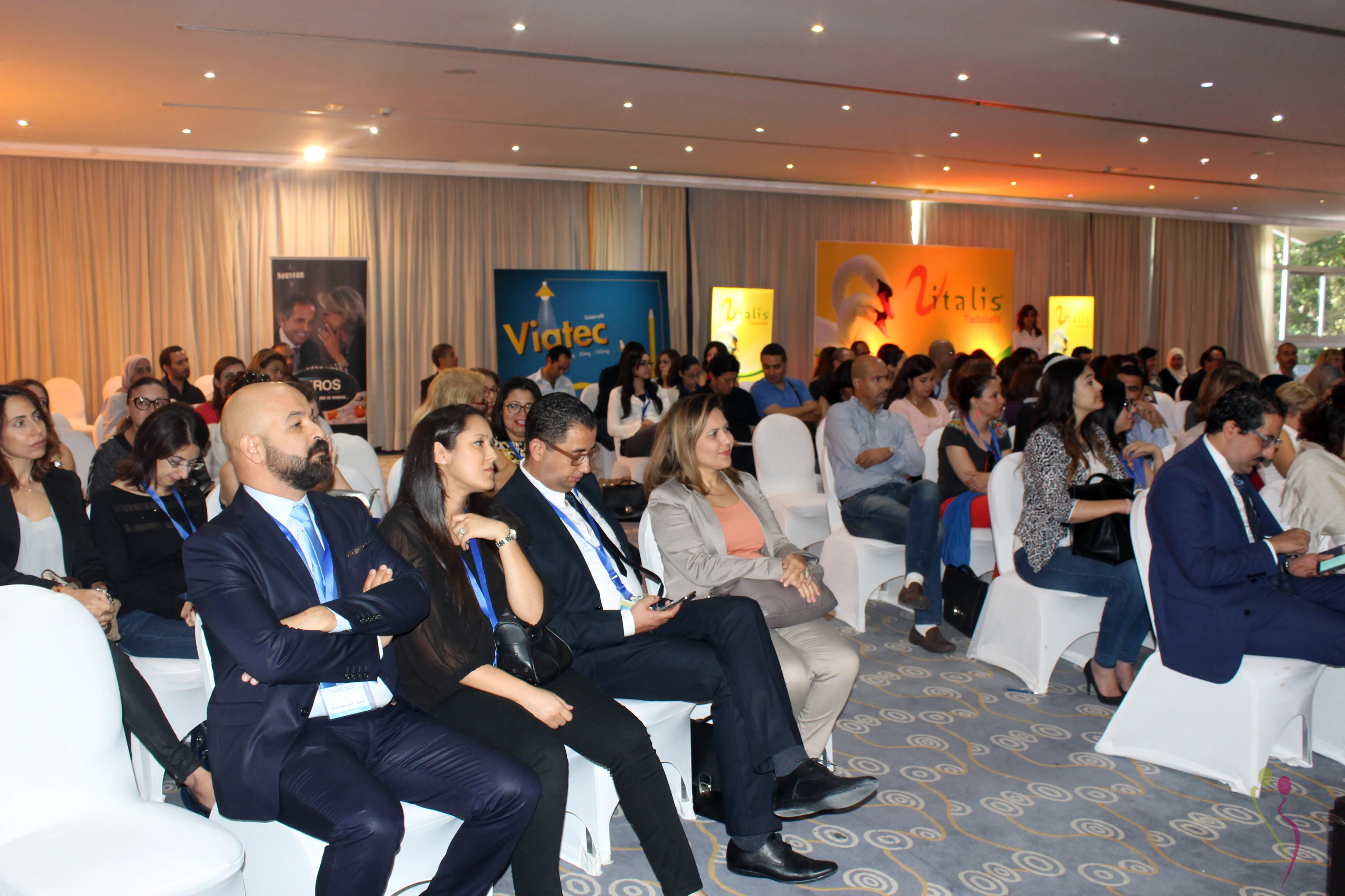 Stsc G1 12c8cIMG 3433